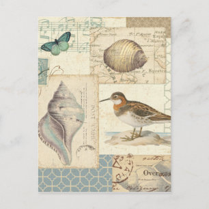 Seashell Collage Postkarte