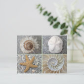Seashell Collage Postkarte (Stehend Vorderseite)