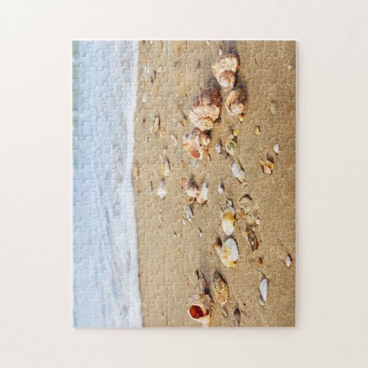 Seashell Collection Puzzle (Vertikal)