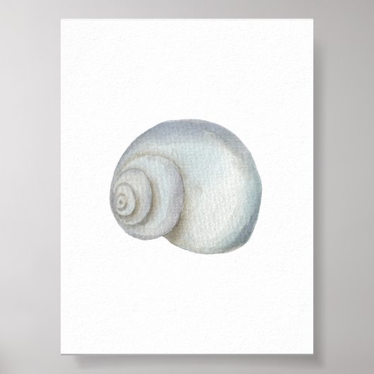 Seashell Conch Print Poster (Vorne)