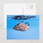 Seashell fällt ins Wasser Postkarte (Vorne/Hinten)