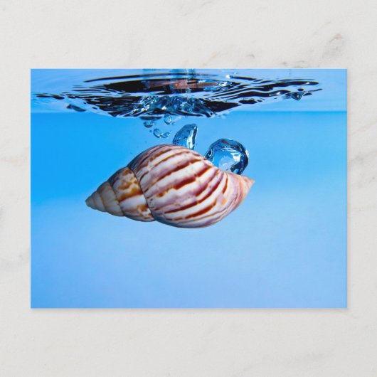 Seashell fällt ins Wasser Postkarte (Vorderseite)