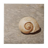 SeaShell Fliese (Vorderseite)