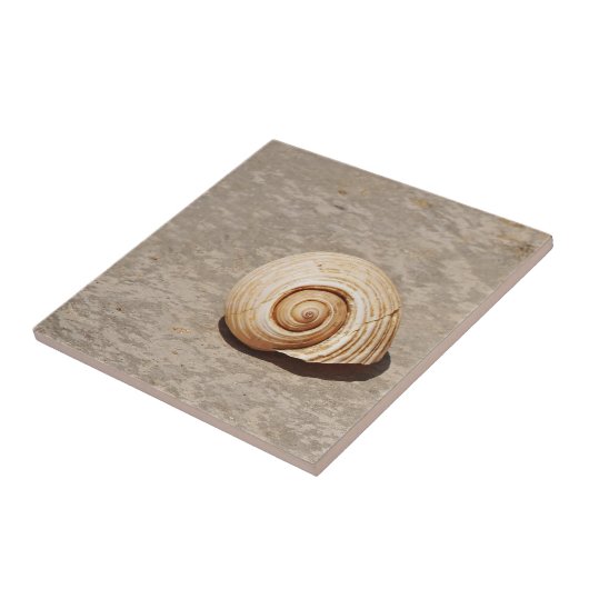 SeaShell Fliese (Seite)