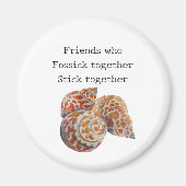 Seashell/Fossickers Magnet (Vorne)