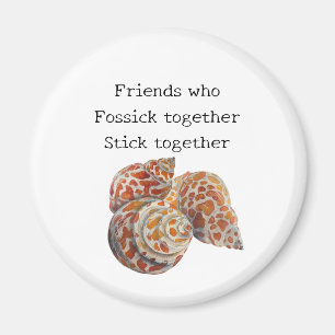 Seashell/Fossickers Magnet