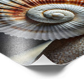 Seashell Foto Print (Ecke)