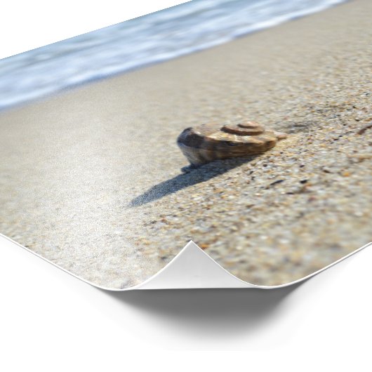 Seashell Fotodruck (Ecke)