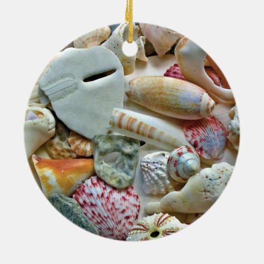 Seashell Frame Foto Ornament (Hinten)