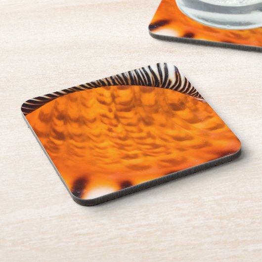 Seashell Getränkeuntersetzer (Linke Seite)