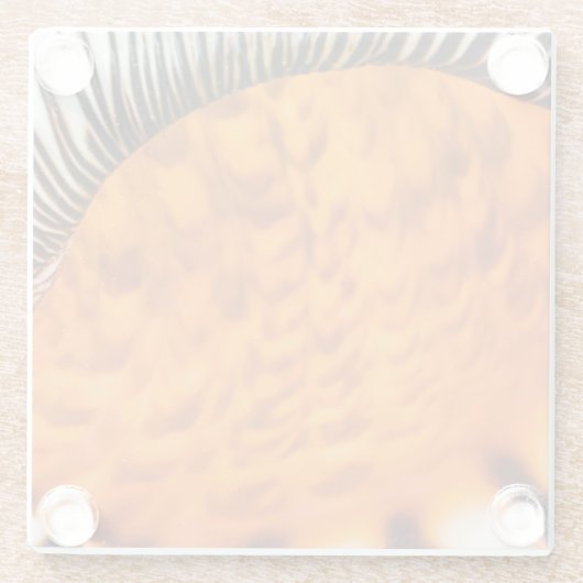 Seashell Glasuntersetzer (Rückseite)