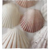Seashell Graphics Duschvorhang (Vorderseite)