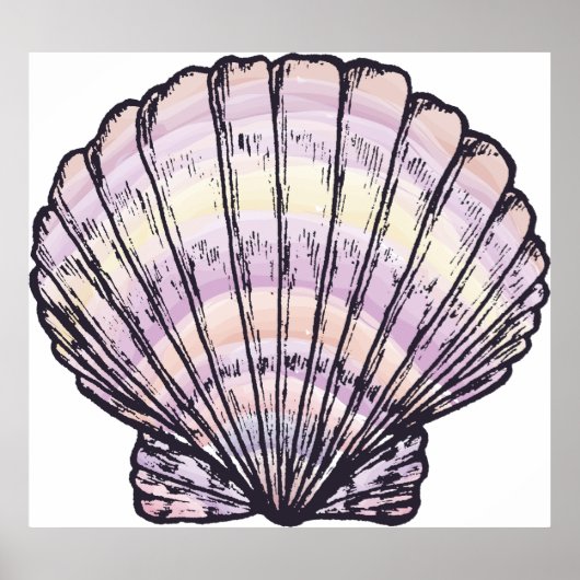 Seashell Illustration Poster (Vorne)