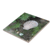 Seashell im Garten Fliese (Seite)