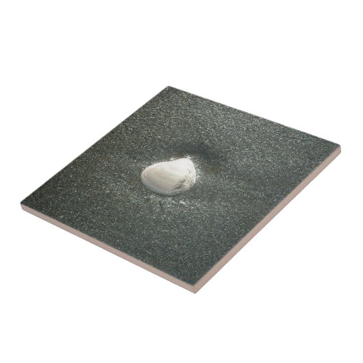 Seashell im Sand: Ein salziges Souvenir Fliese (Seite)