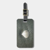 Seashell im Sand: Ein salziges Souvenir Gepäckanhänger (Vorderseite vertikal)