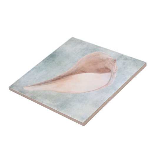 Seashell in Creme und Coastal Blue Pastel Fliese (Seite)