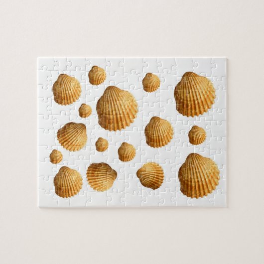 Seashell Jigsaw Puzzle (Horizontal)