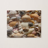 Seashell Jigsaw Puzzle (Horizontal)