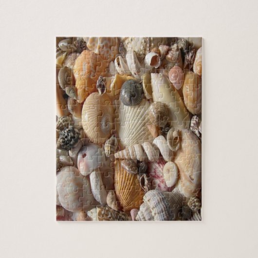 Seashell Jigsaw Puzzle (Vertikal)