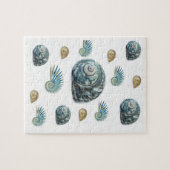 Seashell Jigsaw Puzzle (Horizontal)