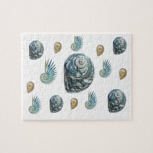 Seashell Jigsaw Puzzle (Horizontal)