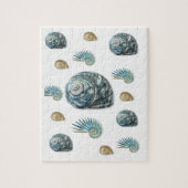 Seashell Jigsaw Puzzle (Vertikal)