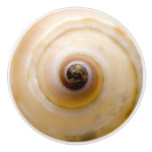 Seashell Keramikknauf (Vorderseite)