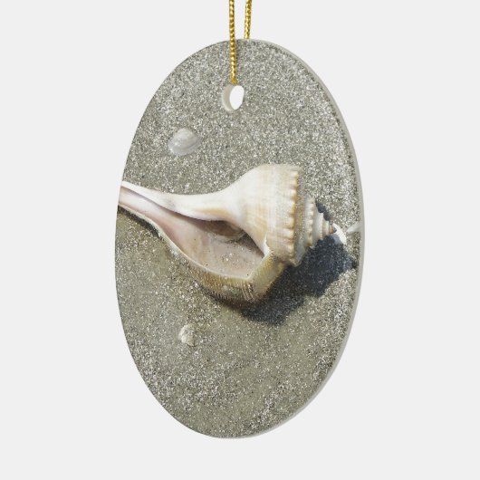 Seashell Keramikornament (Links)