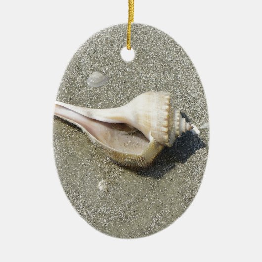 Seashell Keramikornament (Vorne)