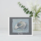SEASHELL_Key West Postkarte (Stehend Vorderseite)