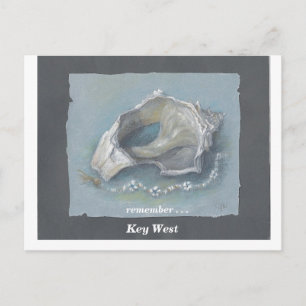 SEASHELL_Key West Postkarte