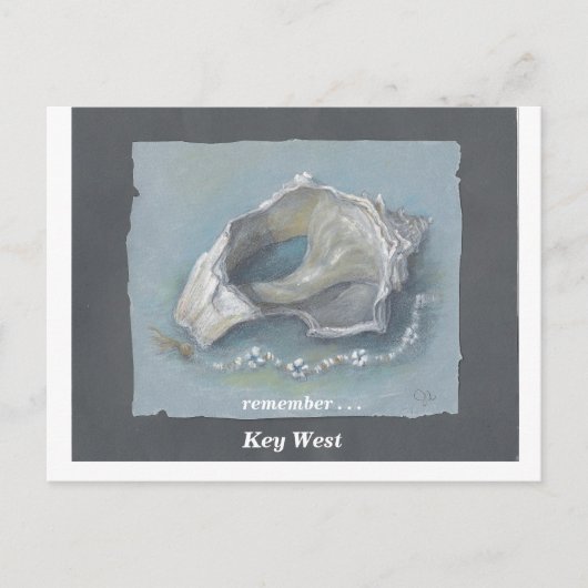 SEASHELL_Key West Postkarte (Vorderseite)