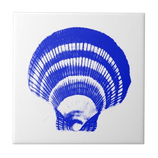 Seashell - Kobaltblau und -WEISS Fliese (Vorderseite)