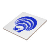 Seashell - Kobaltblau und -WEISS Fliese (Seite)