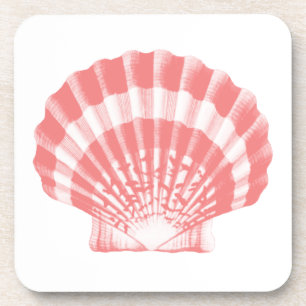Seashell - Korallen rosa und weiß Getränkeuntersetzer