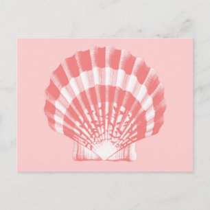 Seashell - Korallen rosa und weiß Postkarte