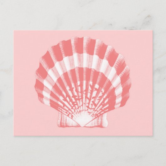 Seashell - Korallen rosa und weiß Postkarte (Vorderseite)