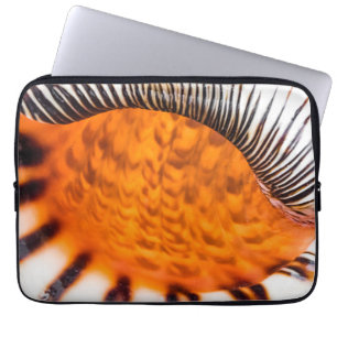 Seashell Laptopschutzhülle