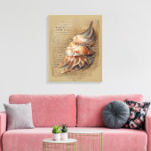 Seashell Leinwanddruck (Insitu (Wohnzimmer))