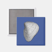 Seashell Magnet (Vorderseite/Rückseite)