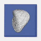 Seashell Magnet (Vorne)