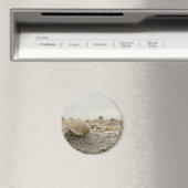 Seashell Magnet (In Situ (Geschirrspüler))