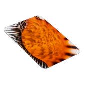 Seashell Magnet (Rechte Seite)