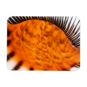 Seashell Magnet (Horizontal)
