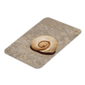 SeaShell Magnet (Linke Seite)