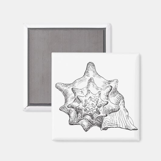 Seashell Magnet (Vorderseite/Rückseite)