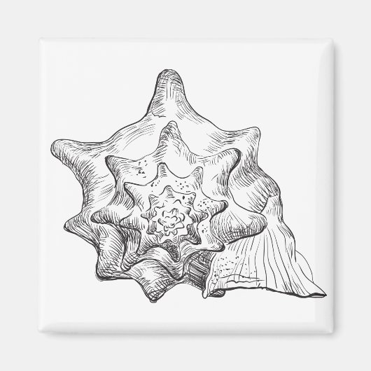 Seashell Magnet (Vorne)
