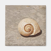 SeaShell Magnet (Vorne)