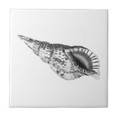 SEASHELL MEERESWELT KERAMIK TITEL FLIESE (Vorderseite)